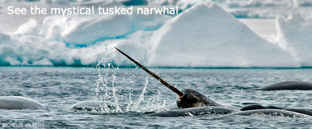 greenlandtoday-com-arctic-k